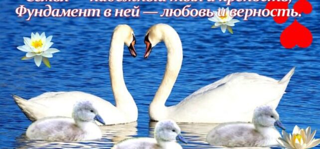 "Любовь и верность».  Фото-челлендж ко дню Любви , семьи и верности