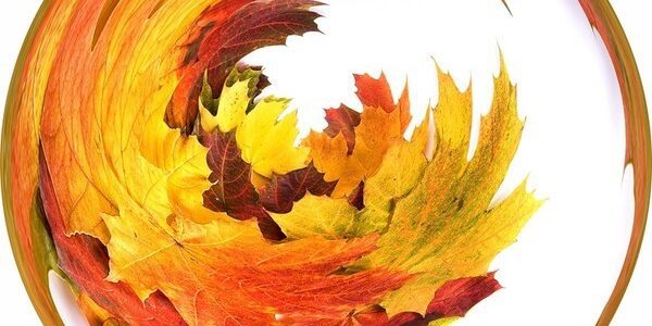 Скоро стартуем!🍁