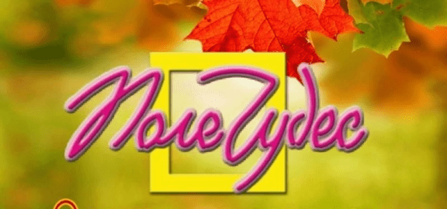 Игра Поле чудес «Осеннее настроение» Игра Поле чудес "Осеннее настроение"