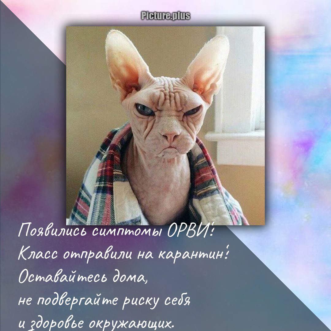 СТОП!!!!